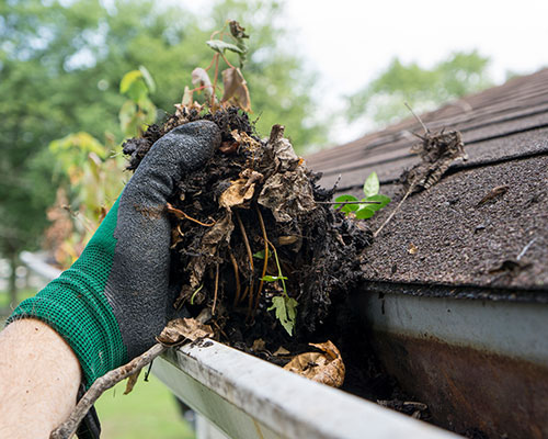 Gutter Cleaning